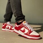 Nike Dunk Low"Gym Red USC"