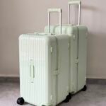 Mint Green RIMOWA Essential Trunk Plus suitcase