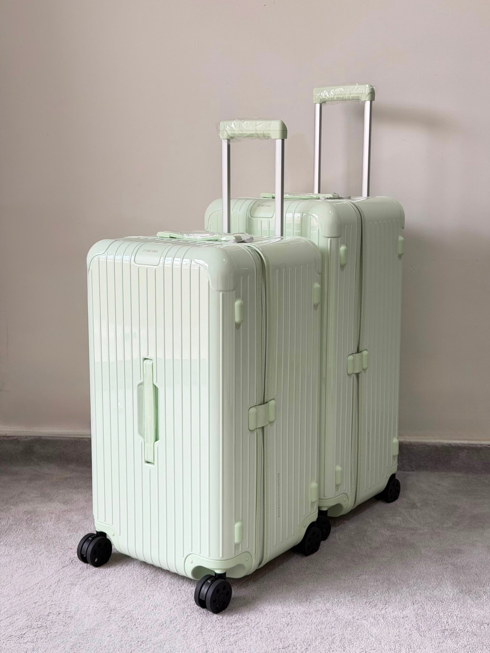 WhatsApp Image 2026-07-21 at 04.21.48 Mint Green RIMOWA Essential Trunk Plus suitcase - Image 1