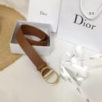 Dior Reversible saddle belt with an antique gold finish metal CD buckle - Image 5