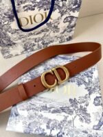 Dior Reversible saddle belt with an antique gold finish metal CD buckle - Image 3