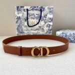Dior Reversible saddle belt with an antique gold finish metal CD buckle