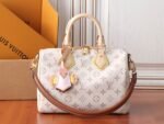 Louis Vuitton Speedy Bandoulière 25 LV crafty collection