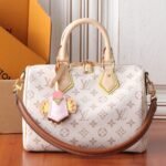 Louis Vuitton Speedy Bandoulière 25 LV crafty collection
