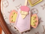 Louis Vuitton Speedy Bandoulière 25 LV crafty collection - Image 3