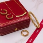 Cartier Clash de Cartier Necklace, Earrings, Bangle & Ring Full Set