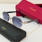 Cartier CT0439S Rectangle Sunglasses