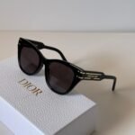 Chirstian Dior Acetate Dior Signature B4I Sunglasses