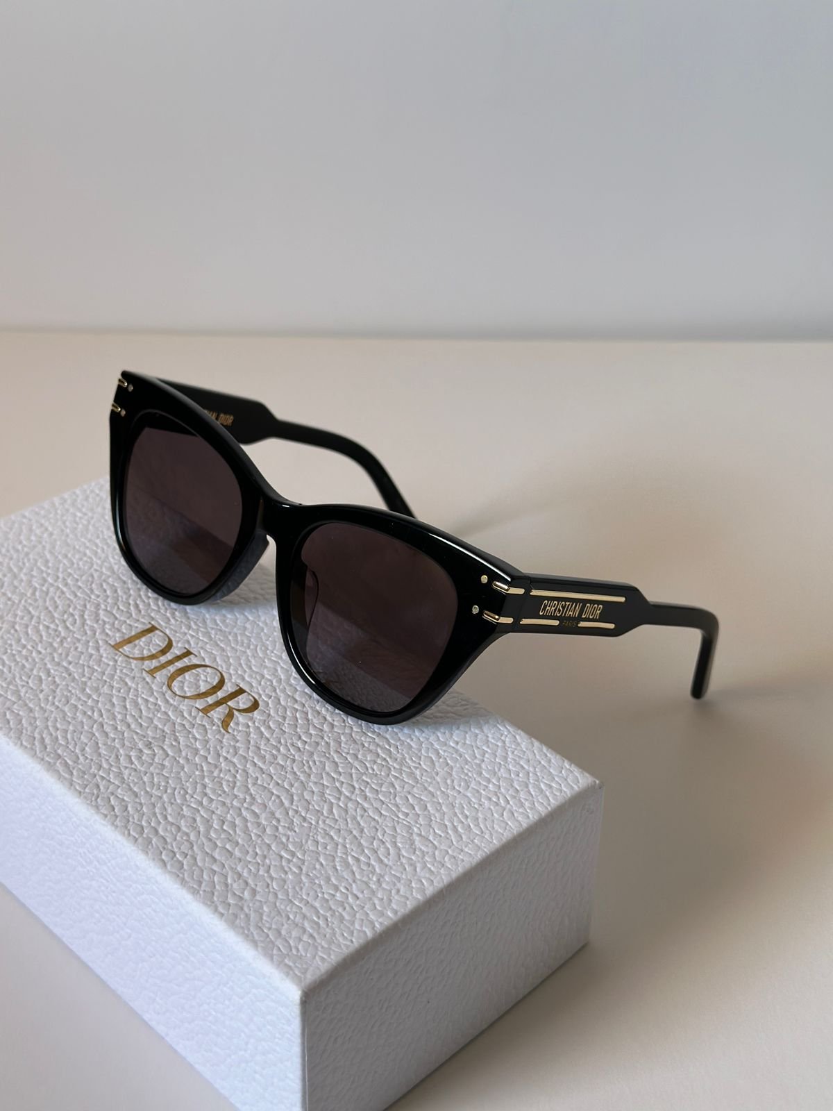 WhatsApp Image 2026-08-07 at 20.03.02 (1) Chirstian Dior Acetate Dior Signature B4I Sunglasses - Image 1