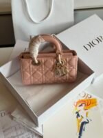 Chirstian Dior Lady D-joy handbags signature cannage stitching and D.I.O.R charms - Image 13
