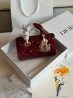 Chirstian Dior Lady D-joy handbags signature cannage stitching and D.I.O.R charms - Image 11