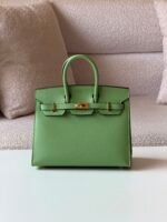 Hermes Birkin 25 Etoupe Togo GHW - Image 8
