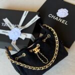 Chanel 25mini Hobo Bag with gold-tone Hardware & Chain detailing