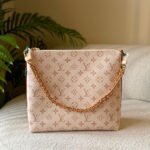 Louis Vuitton Multipass Bag
