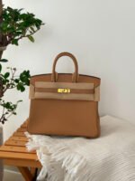 Hermès Birkin HandBag (25cm) - Image 2