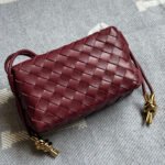 Bottega Veneta Mini Loop Camera Bag