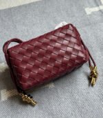 Bottega Veneta Mini Loop Camera Bag