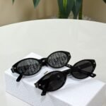 Dior Pacific R1I Sunglasses